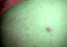 Discussing gay anal sex casually