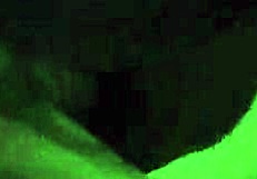 nasty slut bitch takes big cock