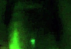 nasty slut bitch takes big cock