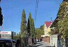 my stepbrother screwed me hard during our walk in the woods