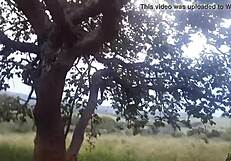 I stuc my big coc in the blond