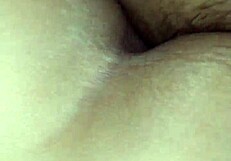 The little fox of the villa