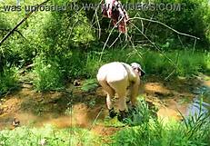 You flashing big tits in the woods?