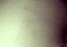 The little fox of the villa