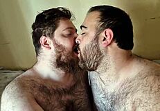 Osos peludos besándose apasionadamente