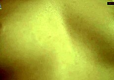 Sissi Slowly Flashes Her Hairy Young Body Outdoors