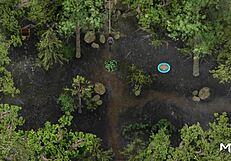 Lust epidemic hero licks two pussies in wild 69 hentai