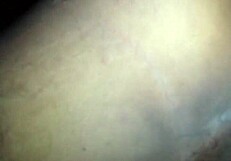 i watch my cheating wife squat ride big ass before getting blacked hard and tease the cuck