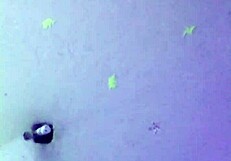 Babysitter shares sensual homemade moment with couple