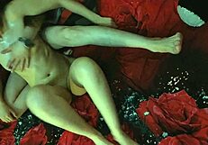 Oiled Pussy Fucked Hard At Home?