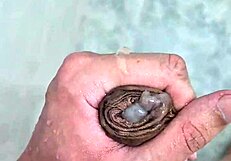 I Enjoyed Cumming In The Shower