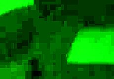 army hazing involves showering and activities