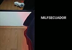 Separation Between The Potra Aleja And Zamira Culona