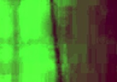 Stepdaddy Pounds Stepson's Ass Hard in Doggystyle