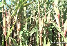 french european amateurs share an intimate moment