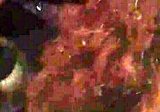 Видел лучший отсос с полным ртом спермы?