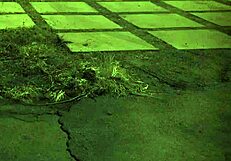 step mom teaches daughters sex while milf catches teen