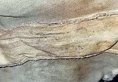 Talking about the neighbor's dirty emo panties