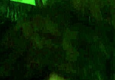 Видел лучший отсос с полным ртом спермы?