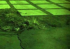 step mom teaches daughters sex while milf catches teen