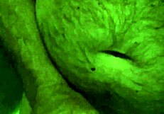 It's me jerking off in the shower, bathing solo with a cumshot. 😏💦