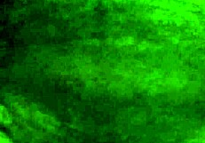 It's me jerking off in the shower, bathing solo with a cumshot. 😏💦