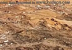 Stunning young African caught having outdoor sex on beach rocks