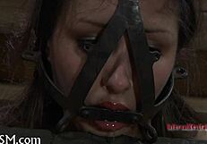 The boxed girl is tied up for sex.