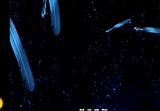 high school dxd parody with anime hentai blowjob scenes