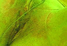 Hey there, wanna see the best of British milfs in part 22?