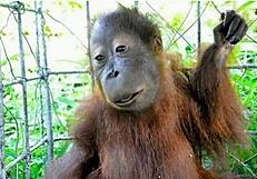 Peronism Simply Exposed As Political Corruption