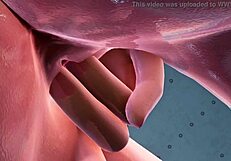 Code Valkyrie Ii Fingering And Fucking In Bedroom And Bath