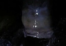 Hardcore Pussy Sex Action