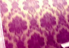 Teen Gay Seeks Monster Cock For Oral And Hardcore Action