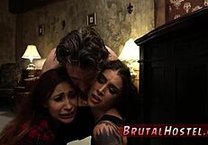 Porn Maker Animation Binds Youthful 18+ Felicity Feline!