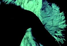 Vintage Interracial Threesome