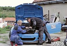 electrifying doggy pounding with ball licking!