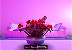 he came home and found his cartoon