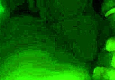 Check out this viral amateur video with pussy play and cum 😍