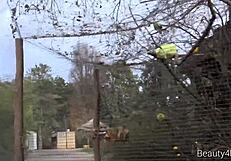 Couple shoots mutual orgasm with brunette babe