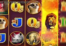 Barbie anderson meets the bricklayer for a casual encounter