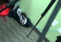 Trinity试镜POV光滑阴道面试