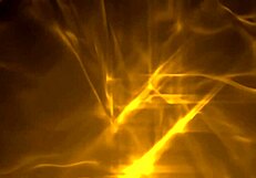 Dava Foxx Sucks Big Dick