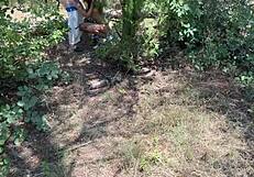 Caught a steamy threesome in the woods with my girlfriend