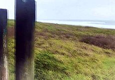 Milf surprised by outdoor encounter with big guy