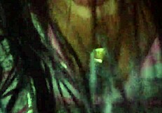 Arrived With Roasted Ass From Eater, Cuckold Settles For Wrecked Pussy