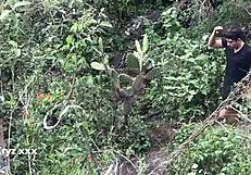 Wild Gay Sex in the Woods with Bareback Action Part 1