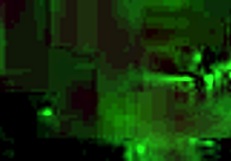 Raw Vintage Erotic Illustration Unveiled