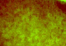 Vietnamese girl Em Nhung with big breasts in traditional setting