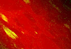 ever seen wild hentai like jashinshoukaninrankyonyuuoyakoikeniegishiki 1?